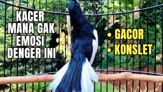 KACER GACOR KONSLET FULL ISIAN TEMBAKAN KASAR AMPUH MEMANCING EMOSI KACER APA SAJA GACOR KONSLET
