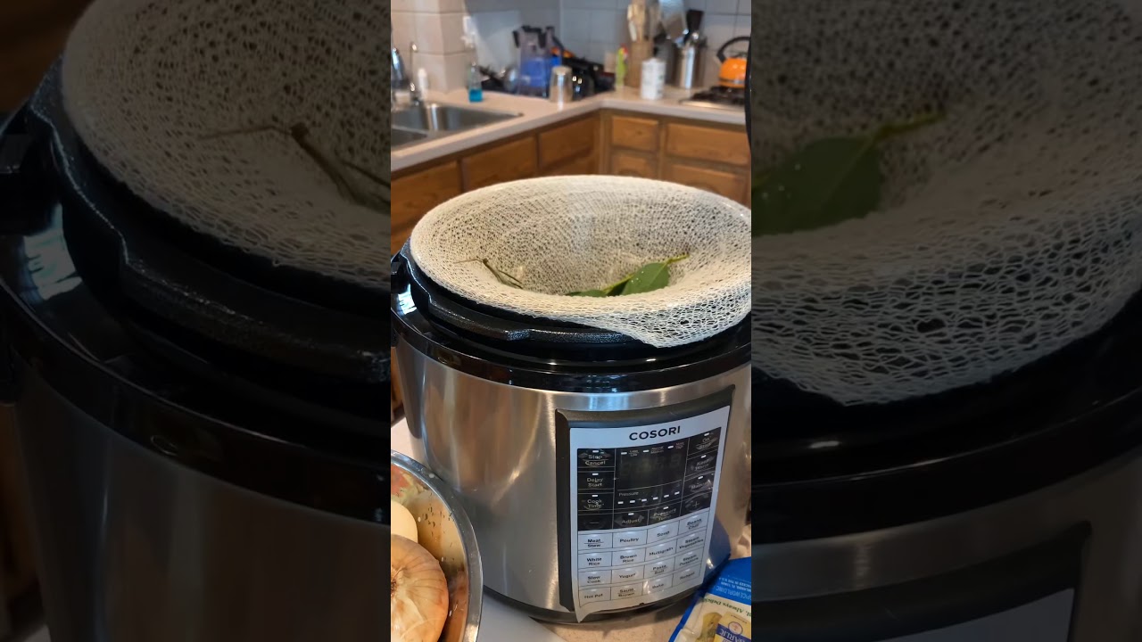 Electric Pressure Cooker Chicken Noodle Soup YouTube