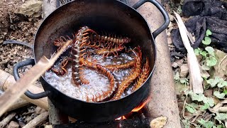 The jungler catches and cooks delicious grilled centipedes