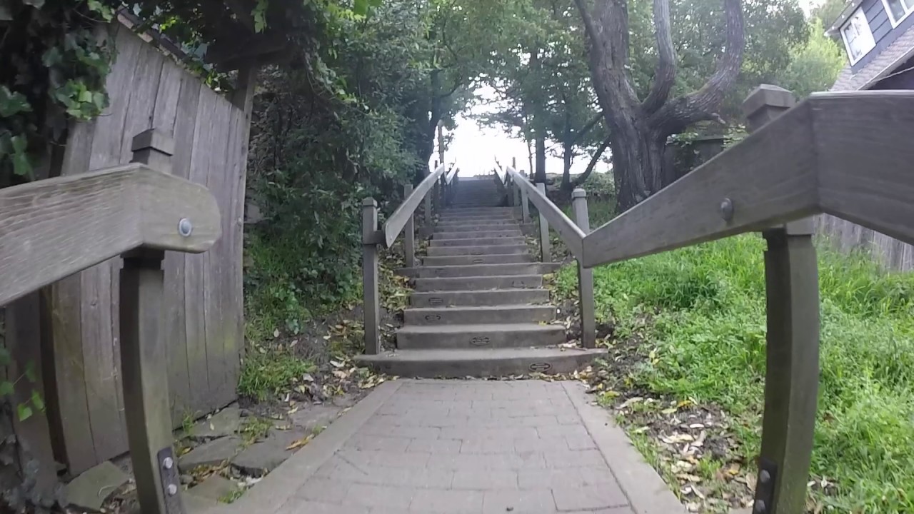 Dipsea Trail Old Mill Park to Windy Gap YouTube