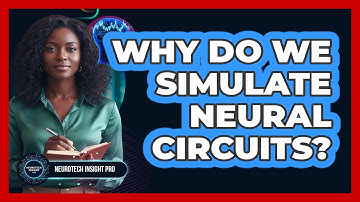 Why Do We Simulate Neural Circuits?