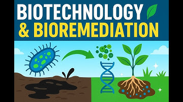 Bioremediation & Biotechnology | How Microbes Clean Our Planet!