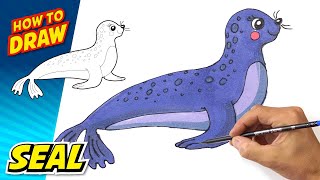 How to Draw a SEAL | Easy Steps Beginner | SEA LION