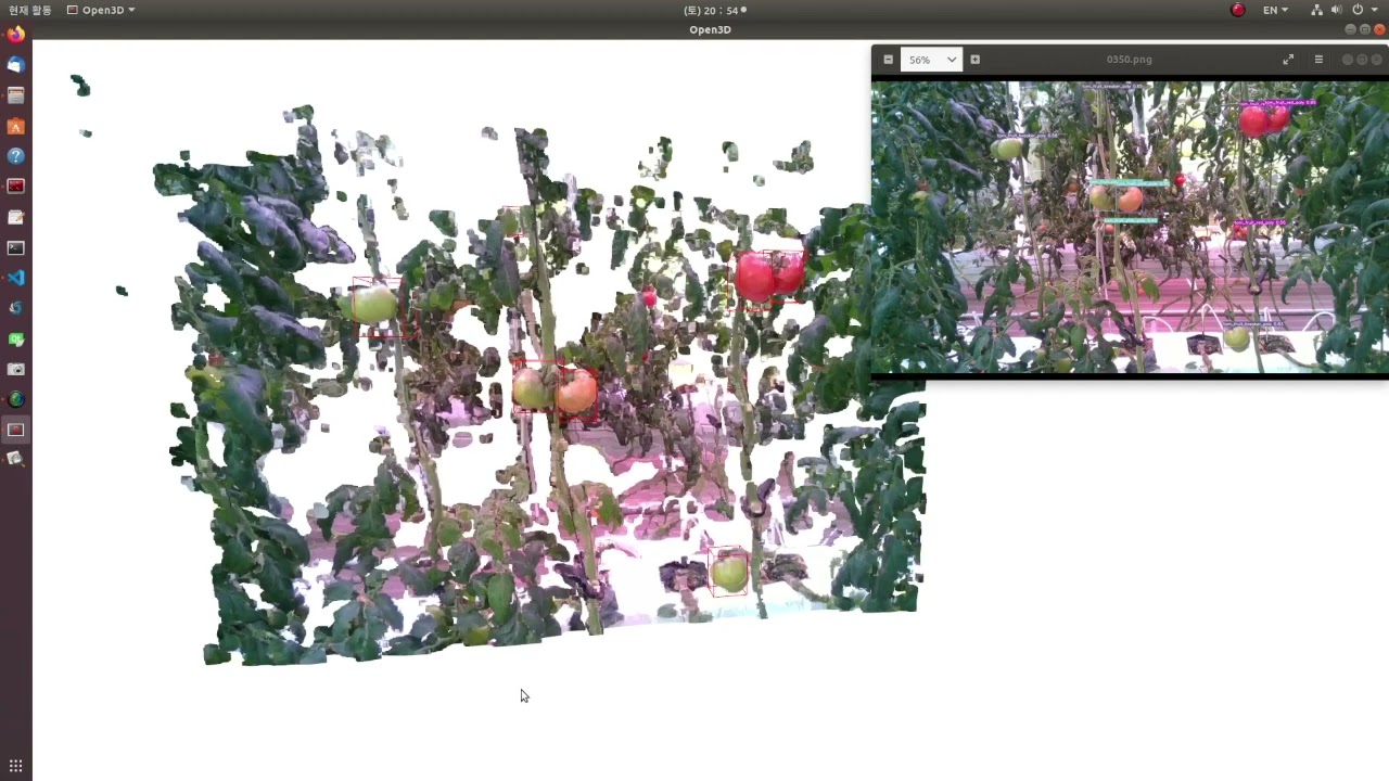 3D Object Detection (Tomato Detection)