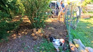 RAISING The HOOP COOP Out Of The MUD! // Whitt Acres