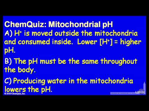 Video: Jak mitochondrie generují ATP kvíz?