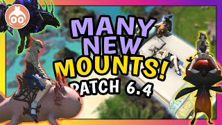 FFXIV | All New 6.4 Mounts and How to Get Them!