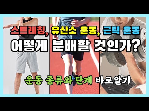 운동 종류와 운동 단계ㅣ심장재활 바로알기 EP.4