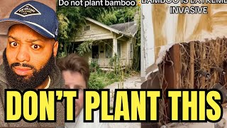 This Plant Is DESTROYING Homes Across America And It’s Frightening