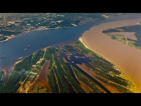 Rivers of the World: The Rio Negro is the mysterious black river of South America.