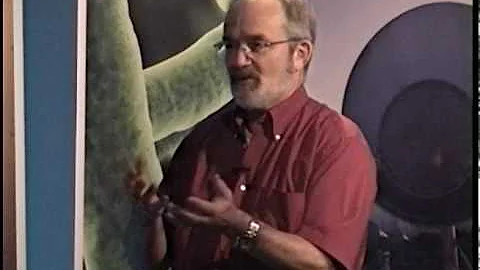 Late Heavy Bombardment - Don Lowe (SETI Talks)