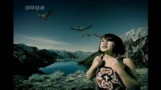 대우증권 플랜마스터 (2002년)