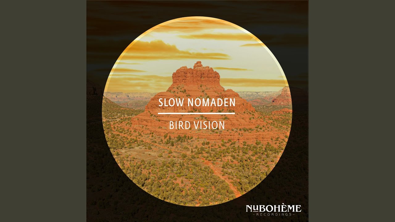 Watch Bird Vision on YouTube Watch Bird Vision on YouTube