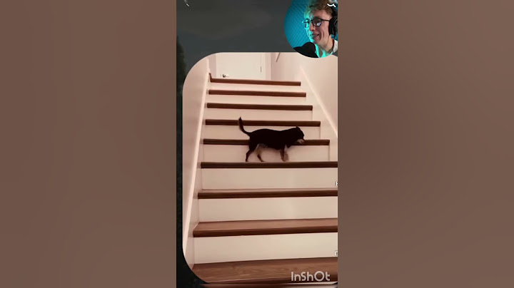 Вирусные видео