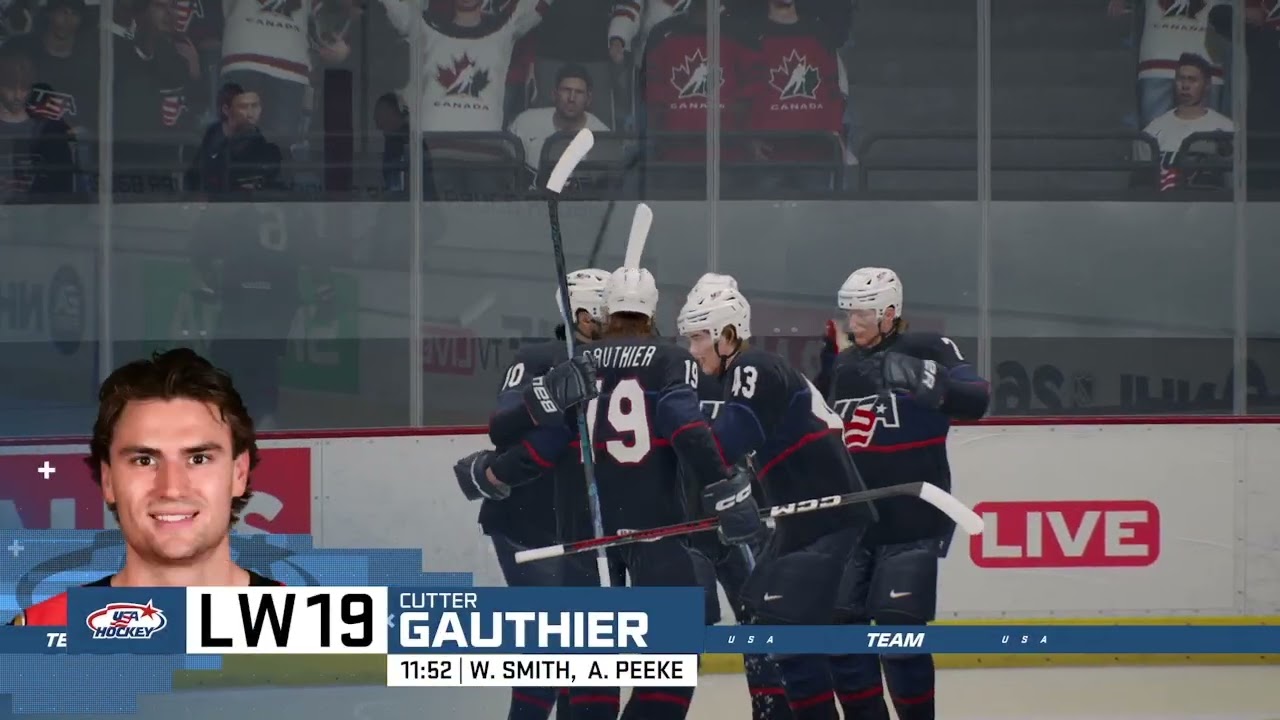 NHL  26  team usa vs team canada