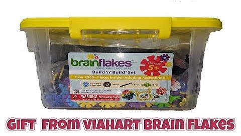 Gift  from Viahart Brain flakes | Brain Flakes Reviews | Brain Flakes 2500 pieces