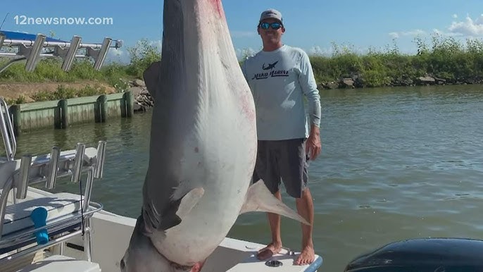 Two Texas anglers catch same 10+ foot lemon shark on Padre Island