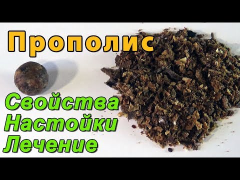 Лечение прополисом в домашних условиях