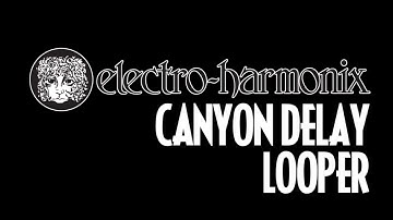 Electro-Harmonix Canyon Delay Looper