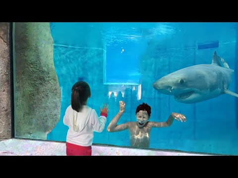 Çocuk Köpek Balığı Akvaryumunda Mahsur Kaldı... (BÜYÜK HATA)