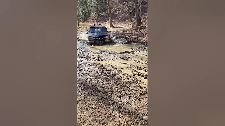 Tonya Day~Mud Life