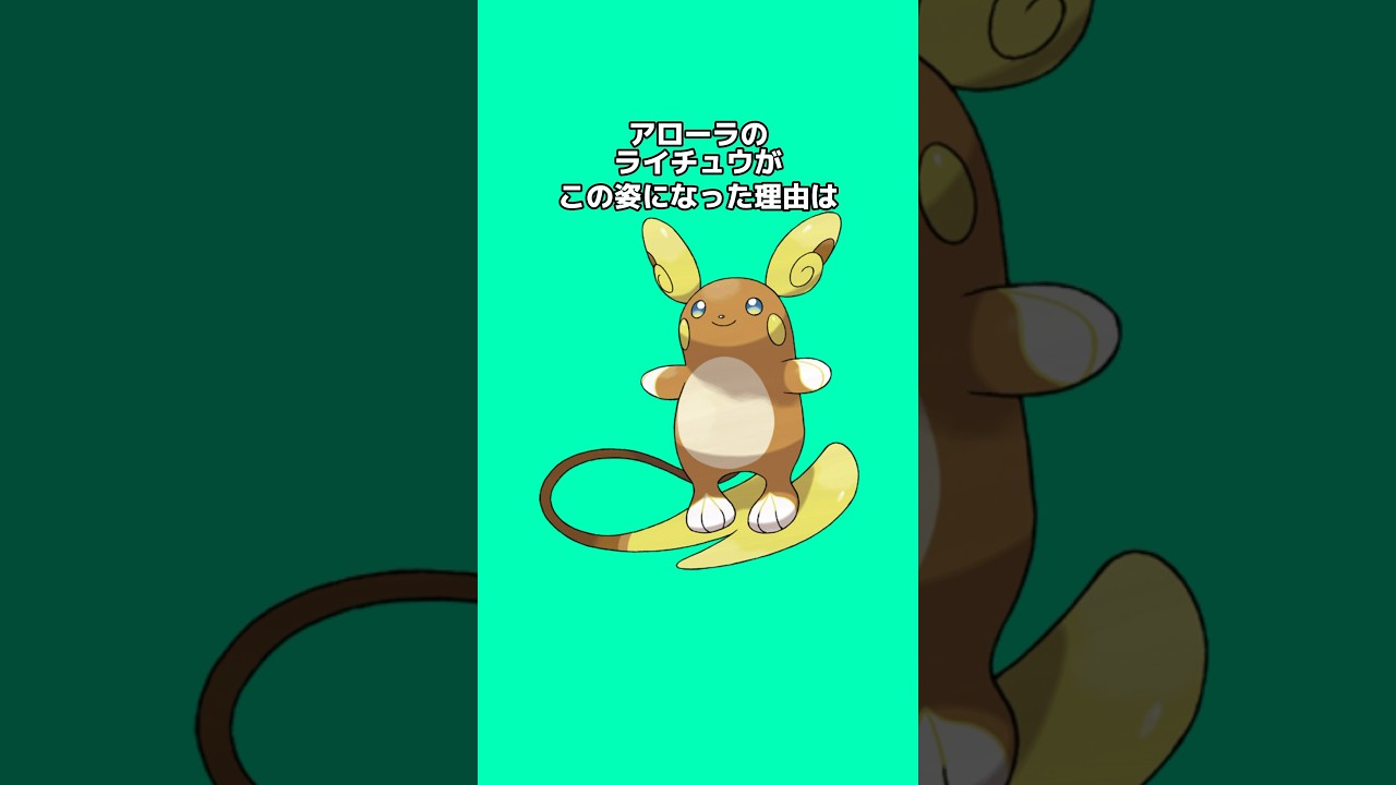 ポケモンの雑学3選Part20 #なぞはな #ポケモン #ポケモンカード #ポケモンオリジナルアニメ #ポケモンゲーム実況 #shorts ポケモンの雑学3選Part20 #なぞはな #ポケモン #ポケモンカード #ポケモンオリジナルアニメ #ポケモンゲーム実況 #shorts