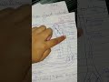Fetus में खून कैसे जाता है या circulate होता है ।।  Nurse Raj