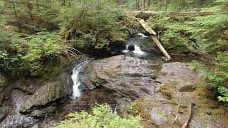 Twentytwo Creek Meditative Minute