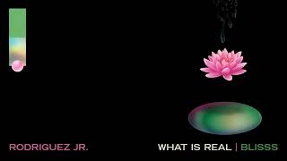 Rodriguez Jr. feat. Liset Alea - What Is Real