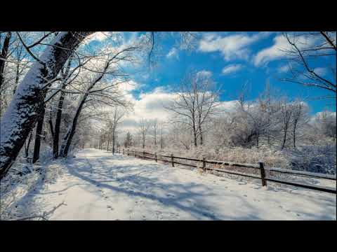 Сёрен Кьеркегор Понятие страха - Предисловие