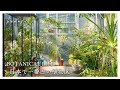 【植物のある暮らし】日本で一番古い植物園で癒される休日|小石川植物園|Relax in Japan's oldest botanical garden
