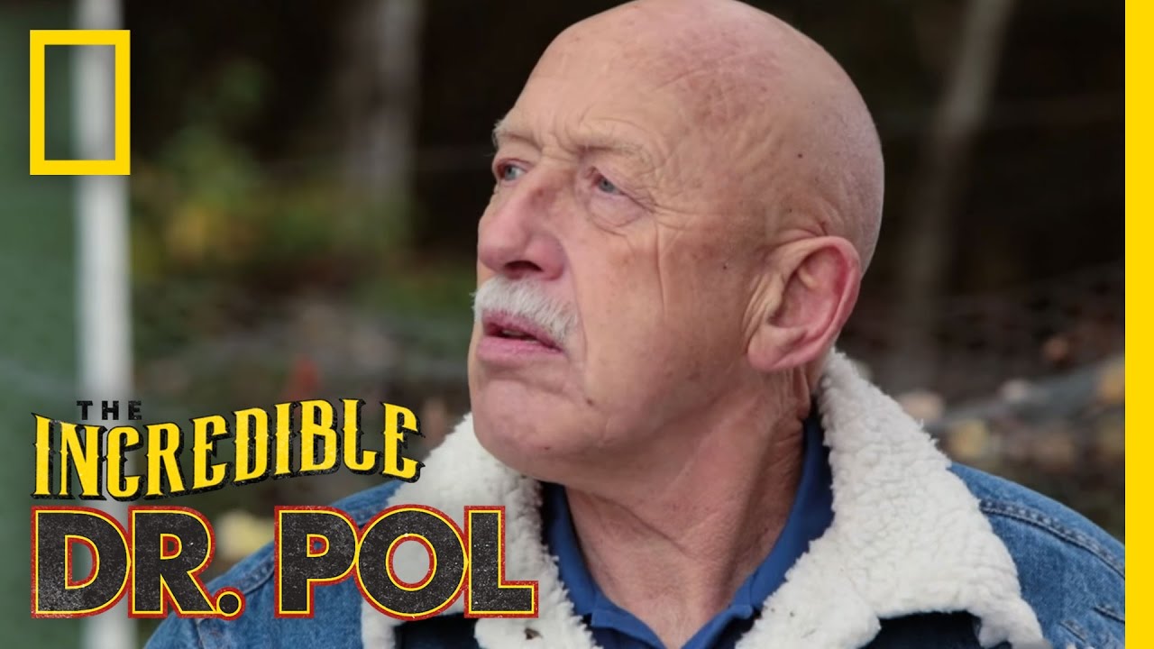 nat geo wild logo Let's Do This! - Episode 7 | Coffee Break With Dr. Pol