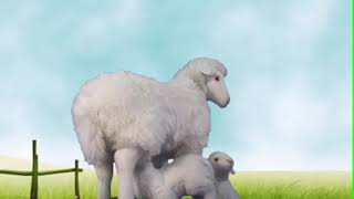 Décoration de magasin : automates famille de mouton - décoration vitrine - Animated figure