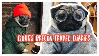 Oregon Travel Diaries - Doug The Pug