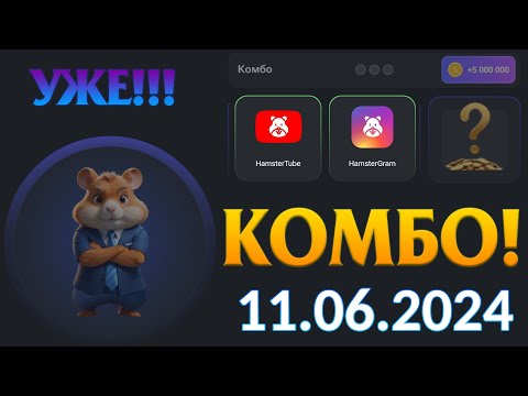 Комбо карты Хамстер