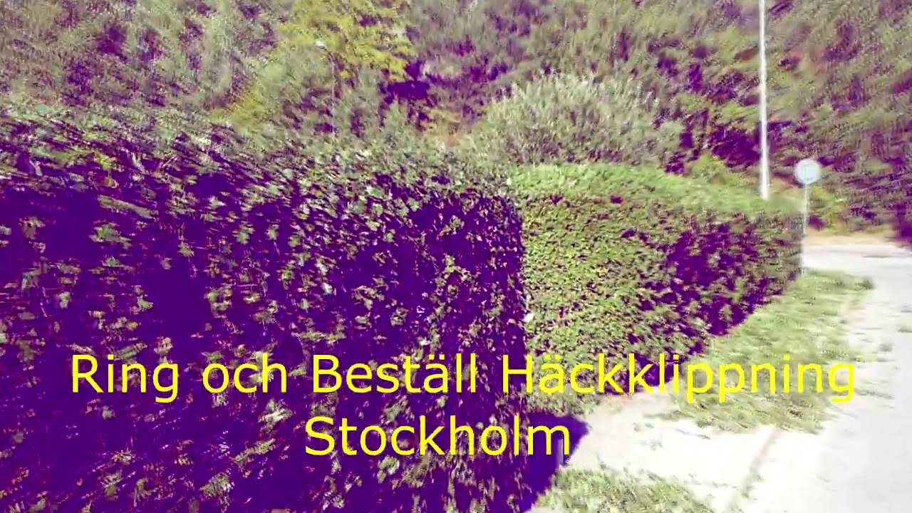 Häckklippning stockholm youtube