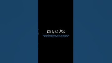 سورة النساء: الآية [ ١٤١ ] #القرآن_الكريم #الفرقان #سورة_النساء #ياسر_الدوسري #قرآن #القرآن_الكريم