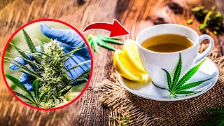 Cannabis Tea – Miracle, or Just Hype?