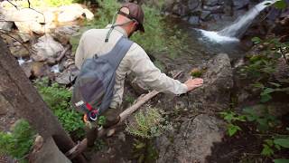 Explore Fly  Fishing Cascade Creek Profile