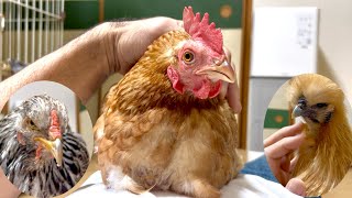 I want to hold him like Rai-chan - YouTube