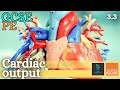 Cardiac Output and Cardiovascular Fitness Quiz
