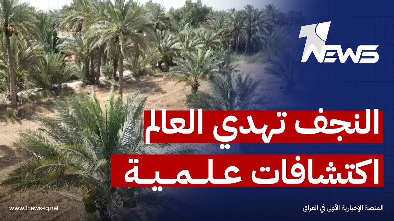 قد تسهم بإنقاذ النخيل عالميا.. النجف تهدي العالم اكتشافات علمية تسجل لأول مرة | تقرير: محمد الغالبي