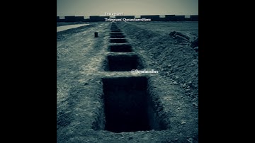 Surah Ali 'Imran 145 | سورة آل عمران ١٤٥ | QuranfuersHerz
