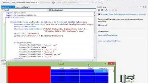 010 تنسيق الالوان في شبكة البيانات (دورة التعامل مع قواعد البيانات باستخدام VB.net)