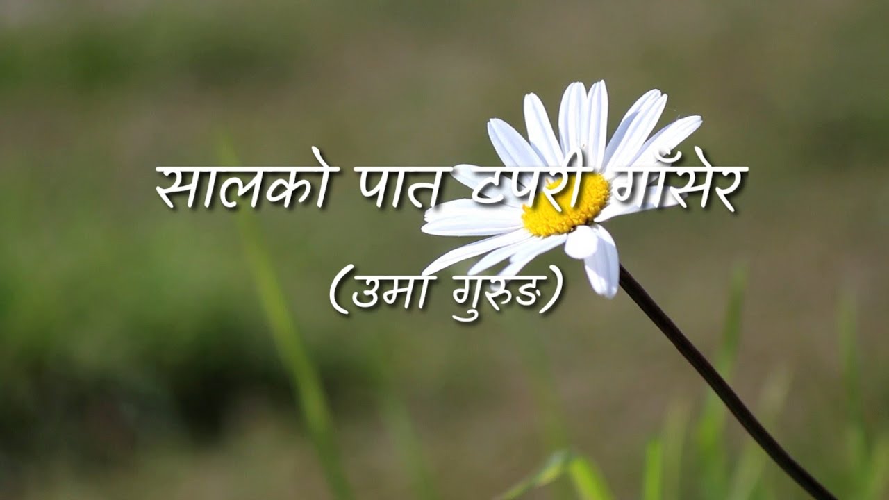          Salko Pata Tapari Gaasera  Lyrics Video  Uma Gurung