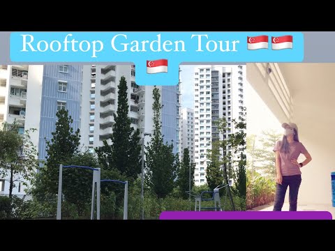 Roof Garden in Singapore🇸🇬