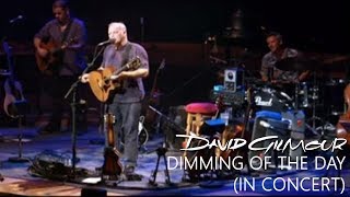 David Gilmour - Dimming Of The Day (In Concert)