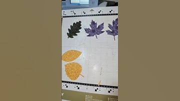 Make FAST Precise Applique Pieces For Quilting Using Scan n Cut