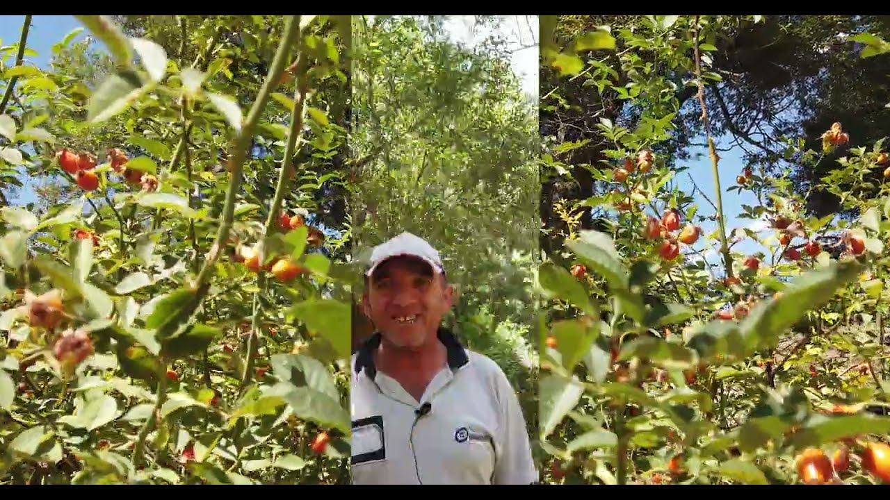 Torosların Eteğinde Bir Yayla | Şıhlı Köyü Yaylası