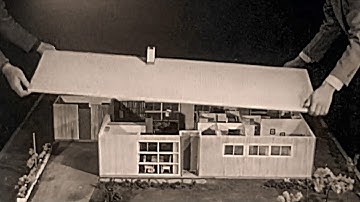 Why do the Suburbs Exist? A Closer Look at Levittown, America